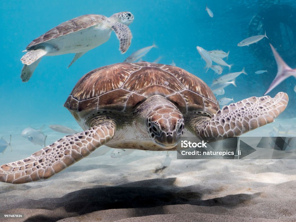 Curaçao zonsondergang