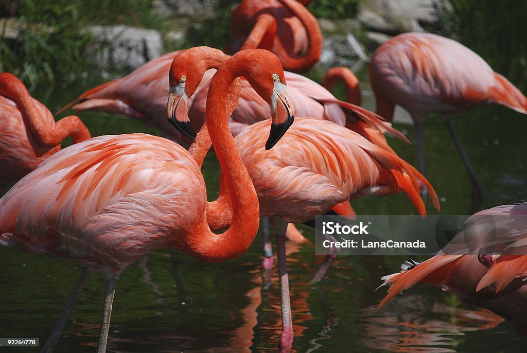 Curaçao strand en zee